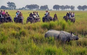 Nagaland and Kaziranga National Park Tour