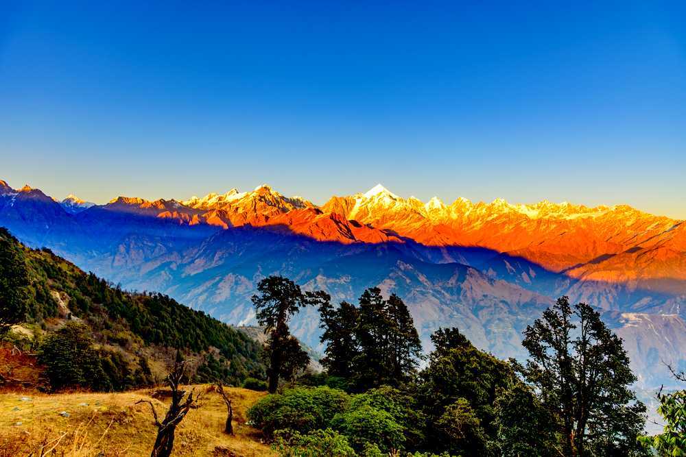 Private Ranikhet and Almora Heritage Tour